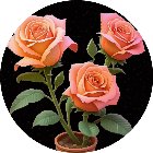 花朵叠叠消