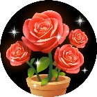 花儿消不停手机赚钱软件