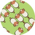 这关怎么解手机赚钱软件