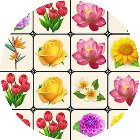 鲜花消消乐经典版