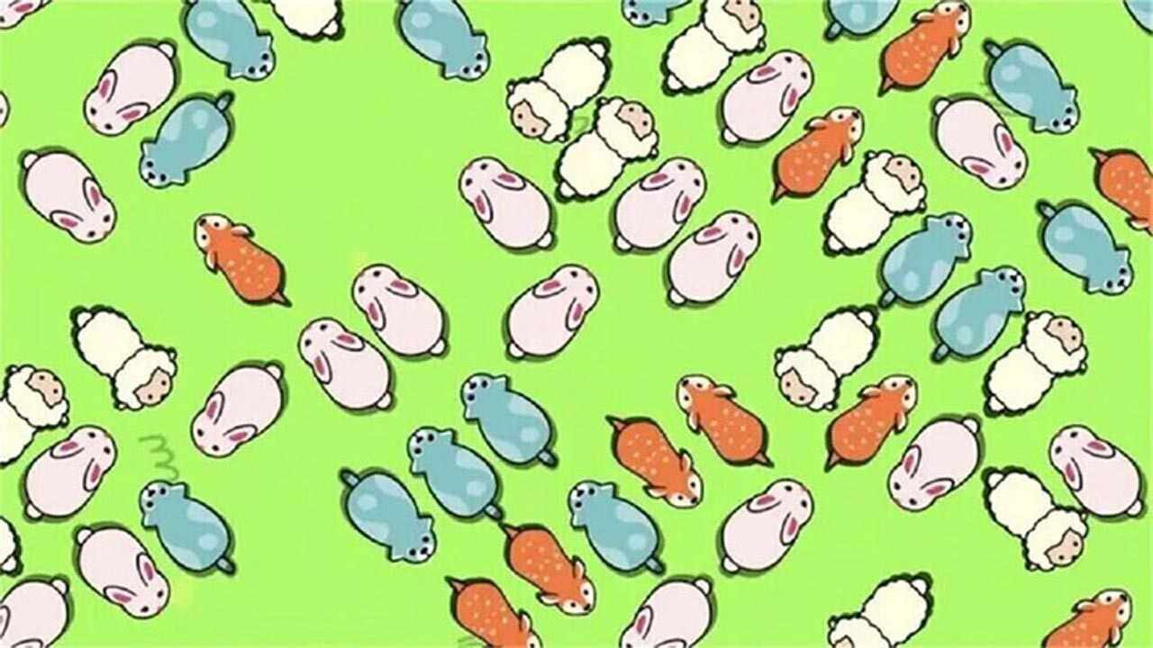 挪挪小猪手机赚钱软件截图1