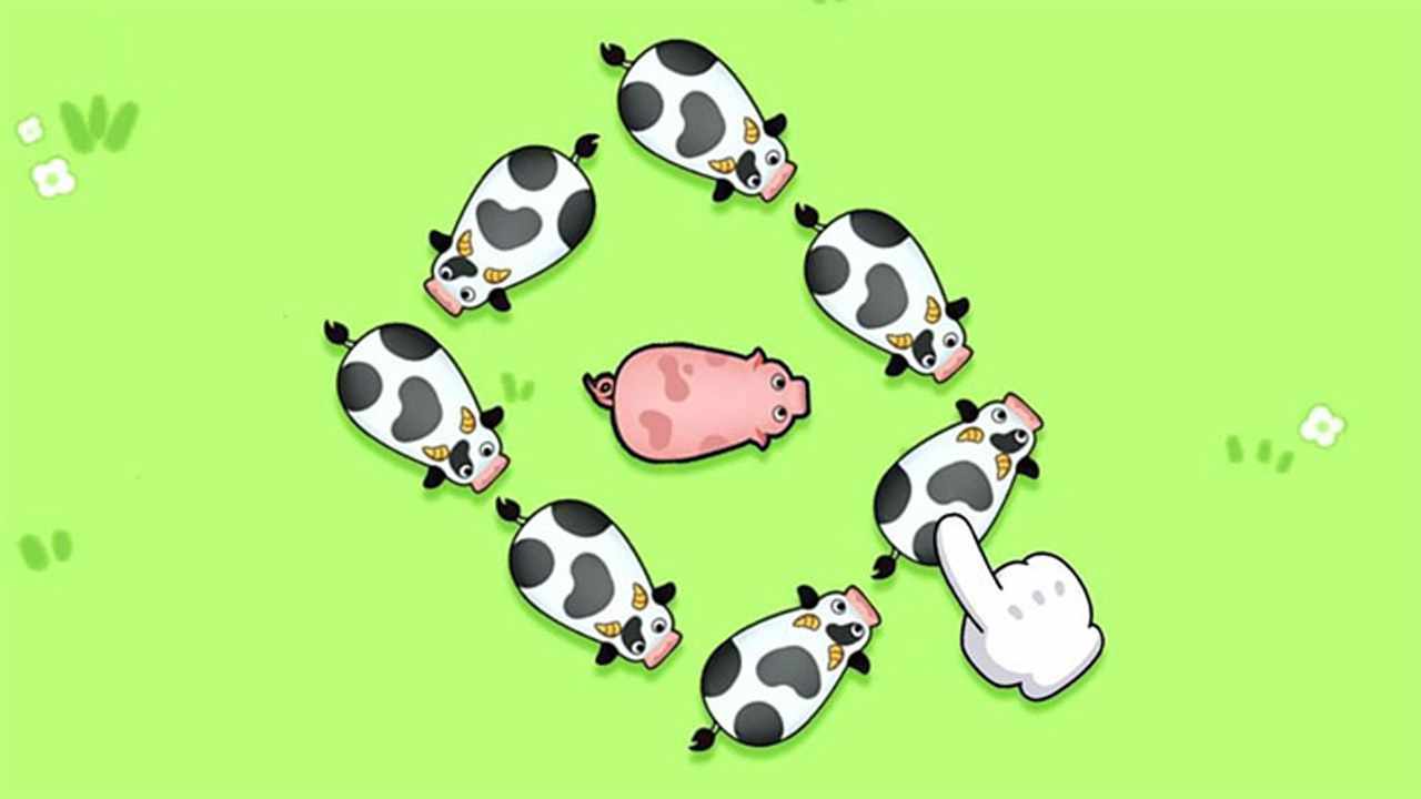 挪挪小猪手机赚钱软件截图2