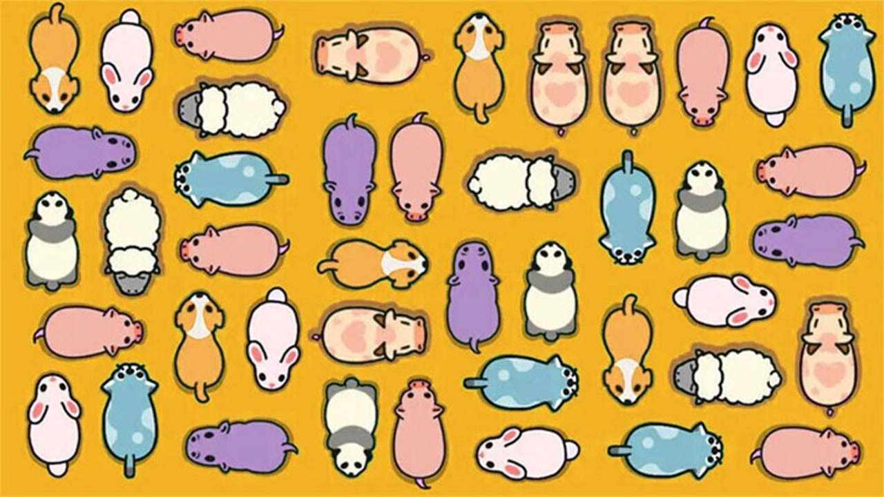 挪挪小猪手机赚钱软件截图3