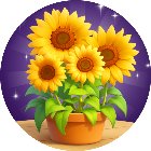 天天消花朵