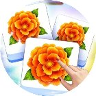 鲜花花消除
