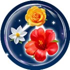 鲜花收纳