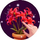 花朵消除花朵