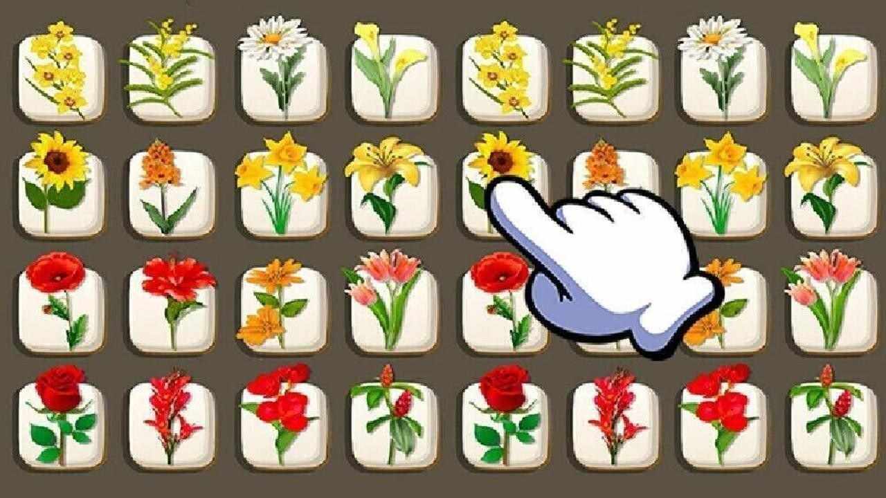 消花朵游戏游戏截图2