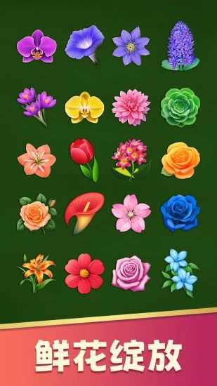 花朵爱消除游戏截图2
