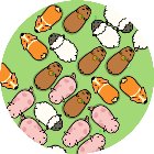 赶猪游戏手机赚钱软件