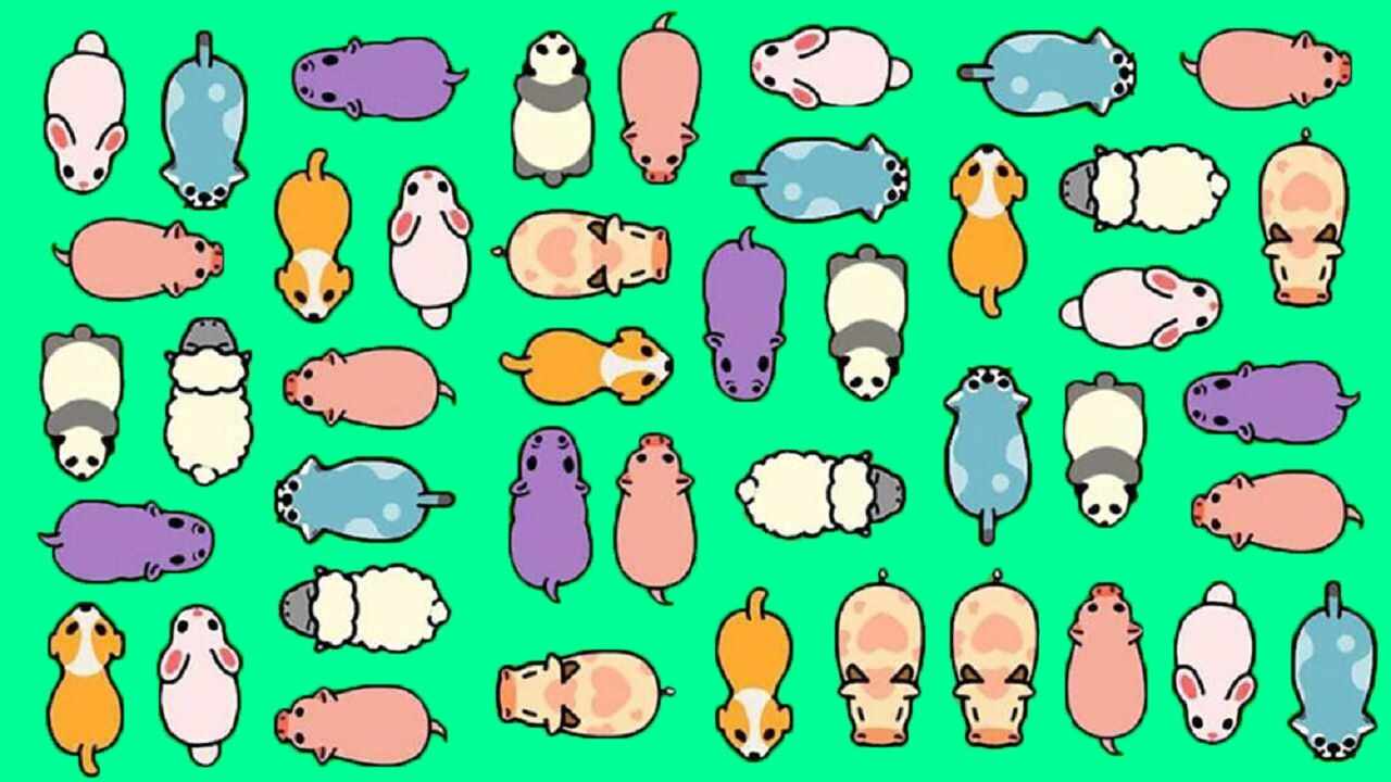 救救小猪吧手机赚钱软件截图2