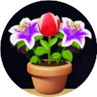花朵消消消乐手机赚钱软件