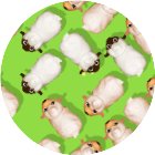 挪猪消消解压手机赚钱软件