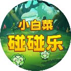 小白菜碰碰乐手机赚钱软件