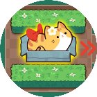 花花走你