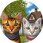 猫咪真实模拟