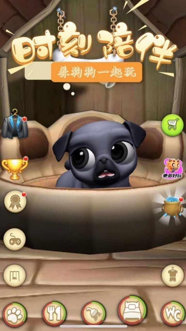 养狗狗一起玩手机赚钱软件截图2