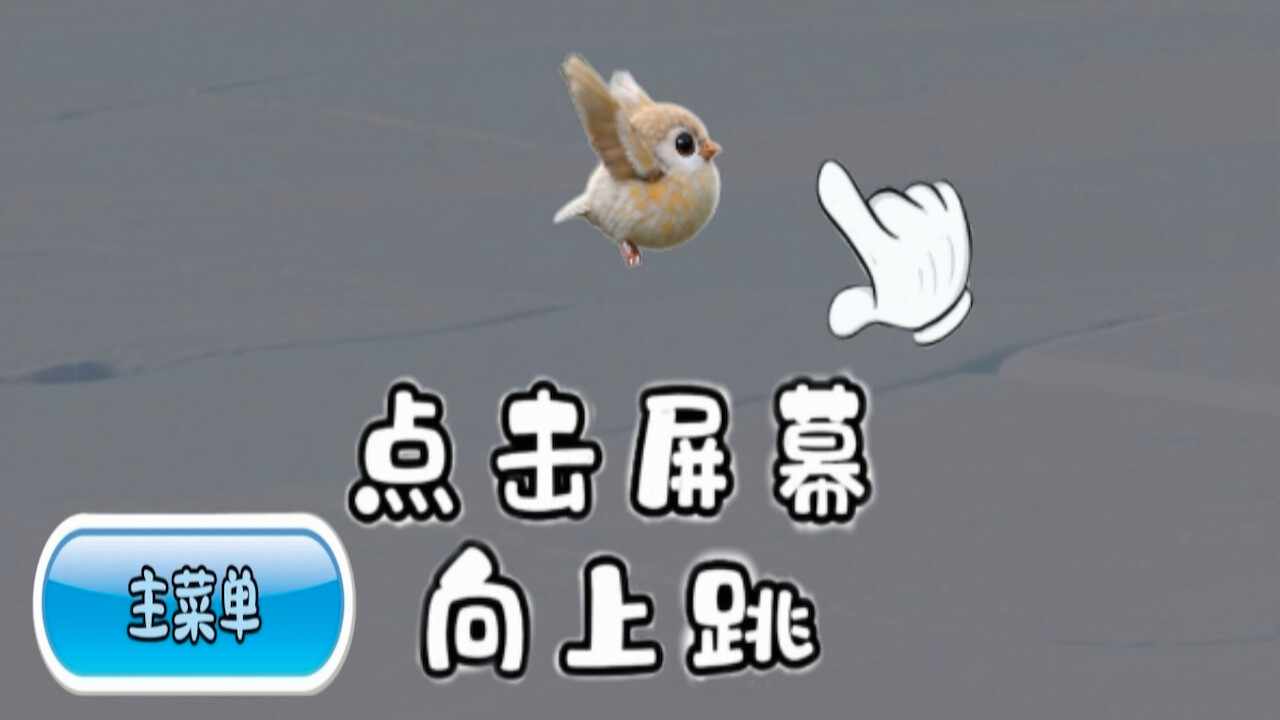 扑腾小鸟手机赚钱软件截图1