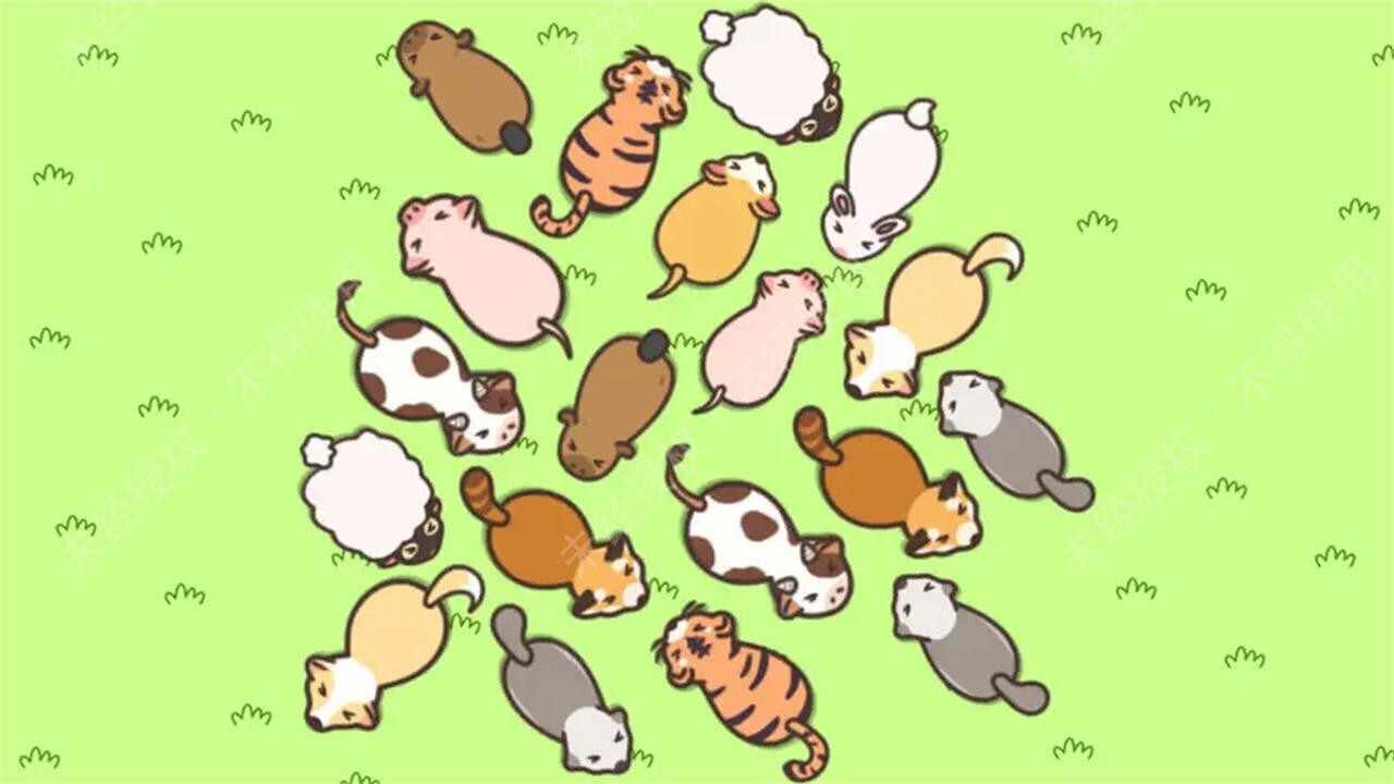逃跑吧小猪手机赚钱软件截图2
