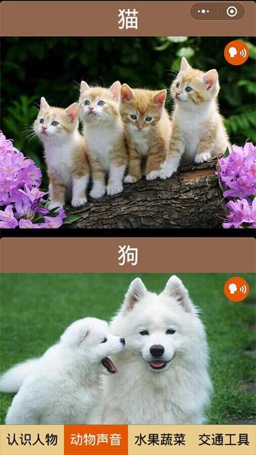 宝宝玩转百科游戏截图2