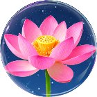 消消花儿手机赚钱软件