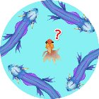 刀与塔中土塔防奇幻录手机赚钱软件