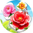 鲜花花朵消消乐手机赚钱软件