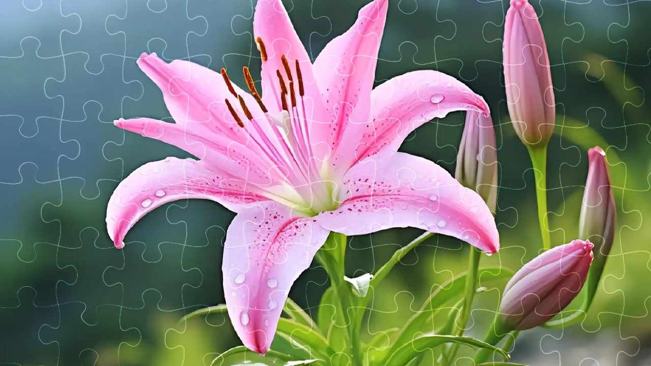 你不无聊手机赚钱软件截图2