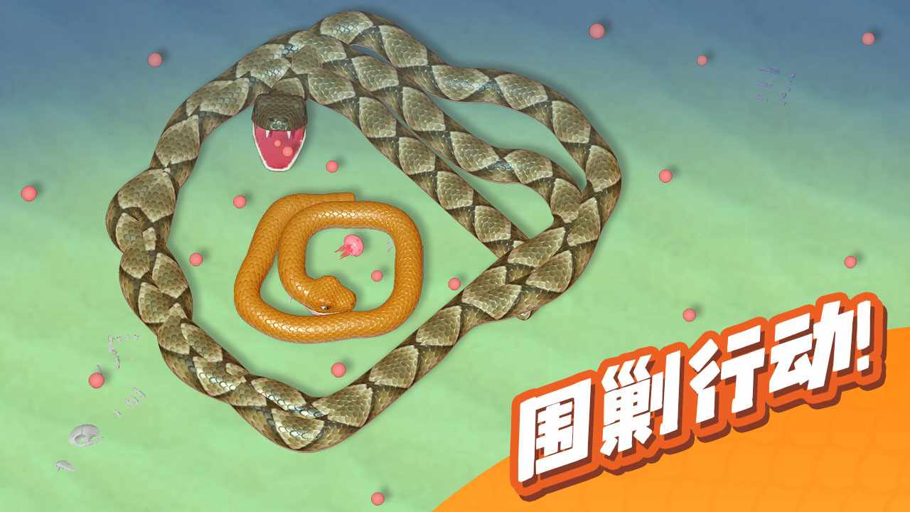 盘大蛇手机赚钱软件截图2