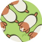 脑力碰一碰手机赚钱软件