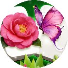 消除花朵经典手机赚钱软件