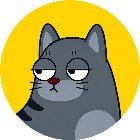 猫猫咪呀