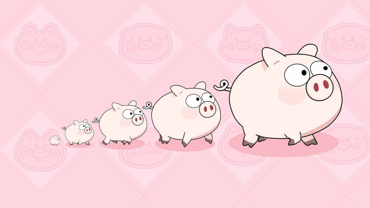 跑了一只猪手机赚钱软件截图1