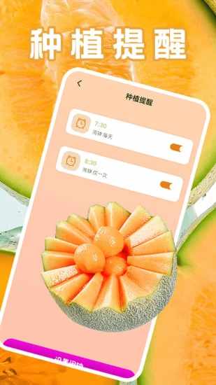 发财哈密瓜手机赚钱软件截图4