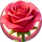 消花达人手机赚钱软件