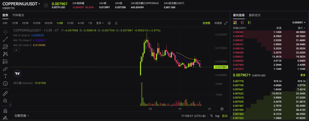 copperinu-usdt-spot-trading-on-xt-exchange-cn