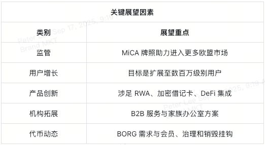 swissborg-key-outlook-factors-at-a-glance-cn
