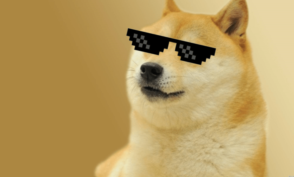 doge-meme