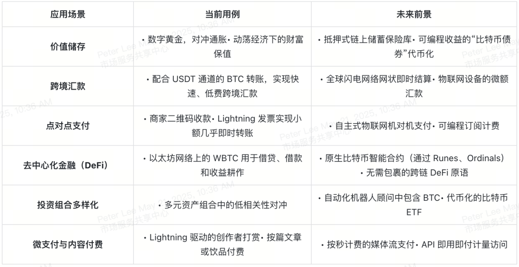Bitcoin-Practical-Use-Cases-overview-table-cn