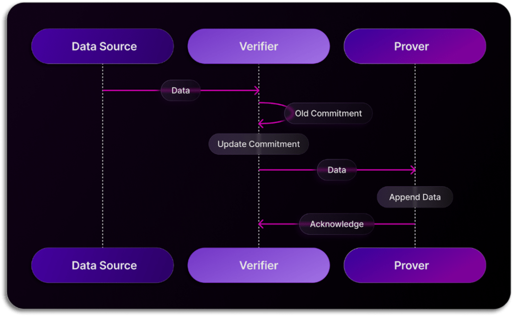 space-and-time-sxt-token-proof-of-sql