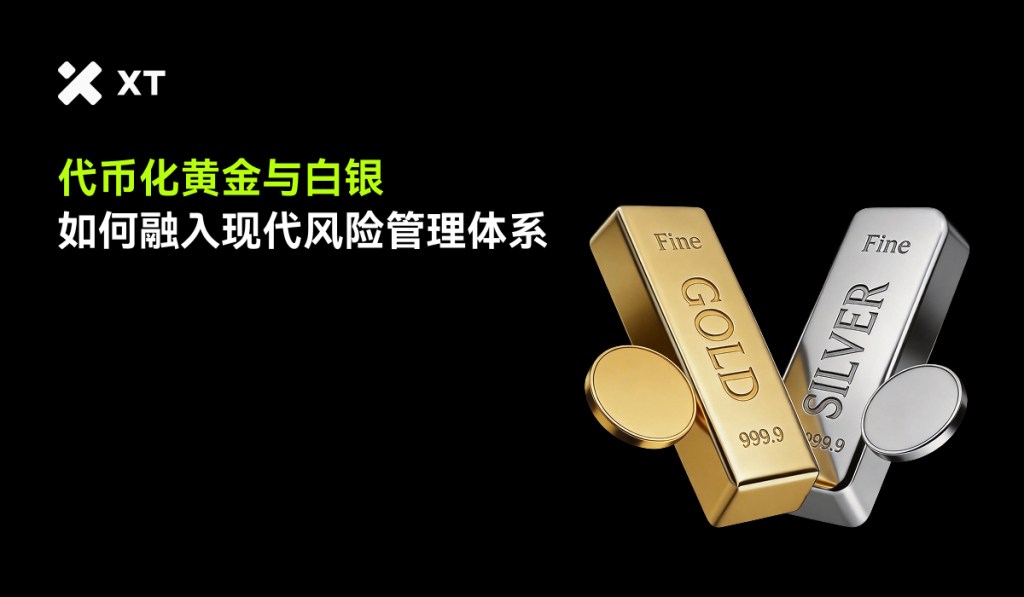 tokenized-gold-and-silver-explained-cover-cn