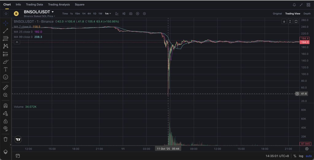 bnsol-usdt-crash