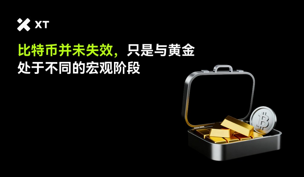 A silver briefcase filled with gold bars and a Bitcoin coin, set against a black background with text discussing cryptocurrency and gold.