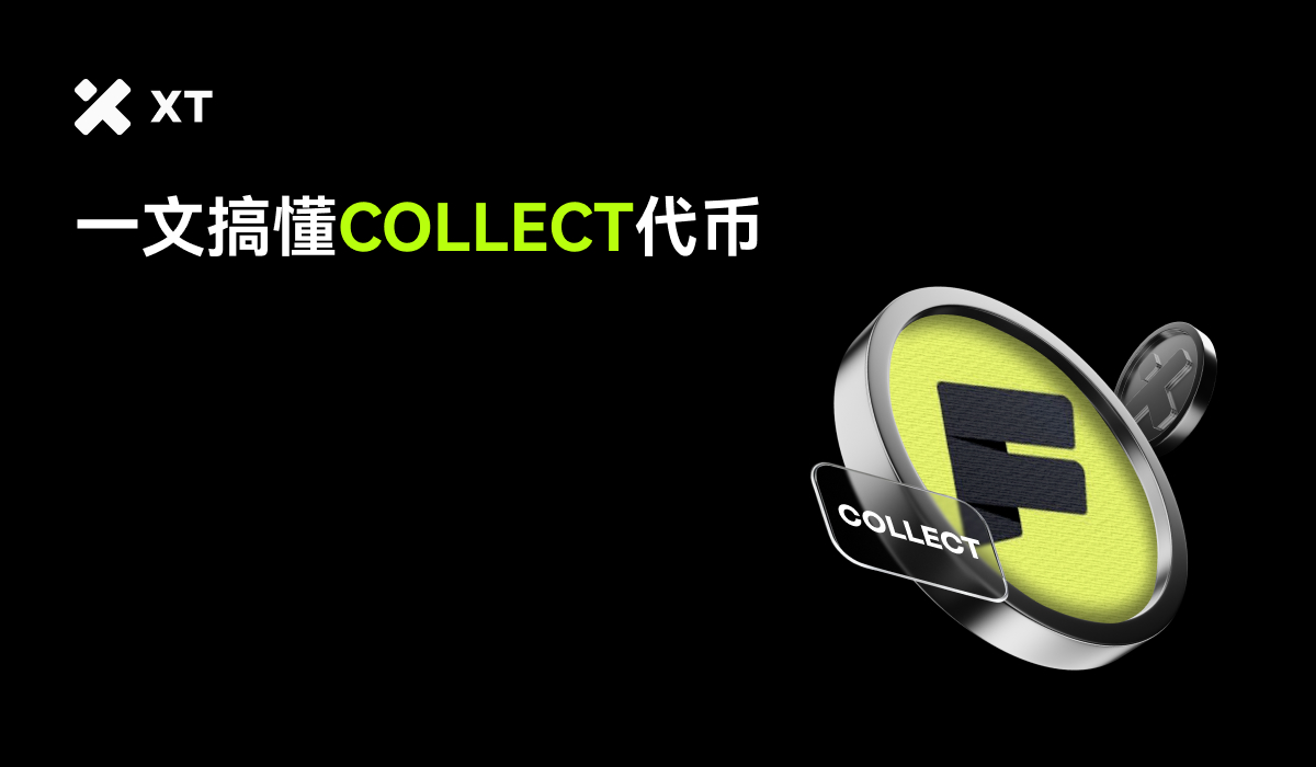 XT交易所的COLLECT代币图标,展示了代币的品牌标识和设计元素。