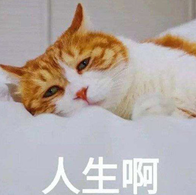 走投无路干什么赚钱快