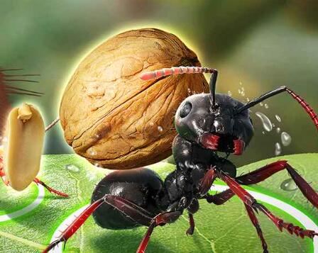 小小蚁国手游最完美的队伍搭配攻略