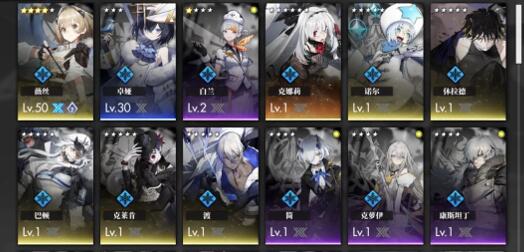 白夜极光水队必练角色