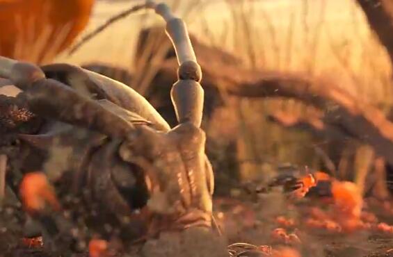 小小蚁国手游十大最值得养的蚂蚁