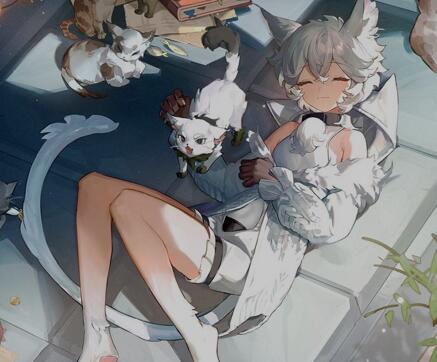 白夜极光评价怎么样，氪金重吗