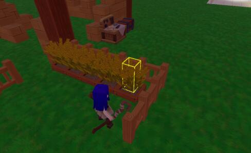 龙与家园手游怎么浇水，如何种植呀